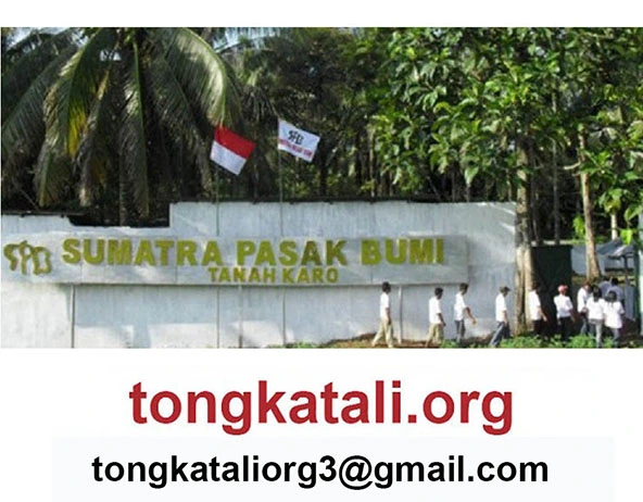 Sumatra Pasak Bumi header
