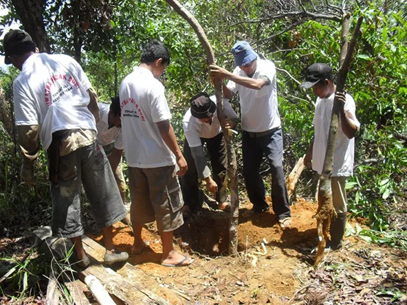 Batak tribesmen in a Tanah Karo forest, digging out a Tongkat Ali root. 