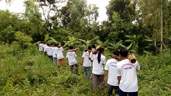 Sumatra Pasak Bumiのシャツを着たモン族の男性たちがブテア・スーパーバの塊根を持っている