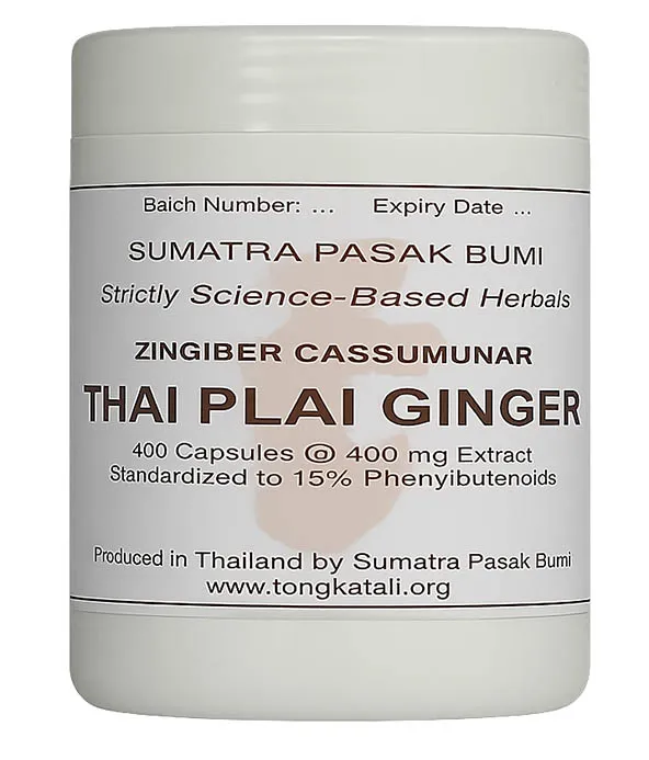 Image of 1 container of Thai Plai Ginger (Zingiber cassumunar) Extract