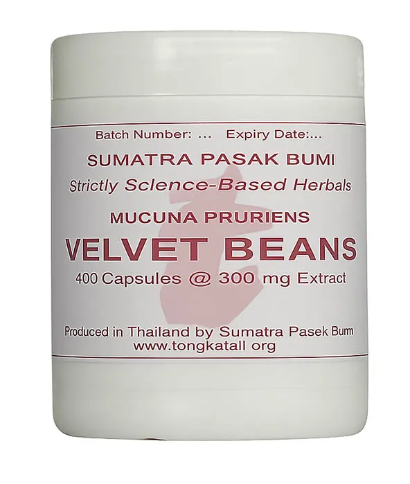 Image of 1 container of Mucuna Pruriens Extract