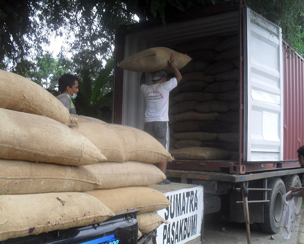 Preparing export shipment of herbal materials
